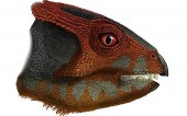 Карликовый динозавр найден в Китае