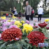 Китай отмечает праздник двойной девятки