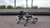 В Китае создали шестиногую роботизированную собаку-поводыря
