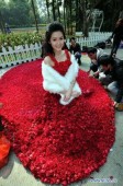 9999 красных роз, или любовные признания по-китайски