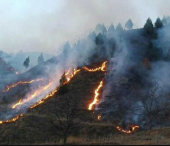 На юге Китая бушуют лесные пожары