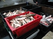 Суйфэньхэ начинает ввоз морепродуктов из России