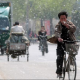 Пекин борется с тополиным пухом, запрещая «женские» тополя