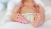 Снятие запретов не привело к росту рождаемости в Китае