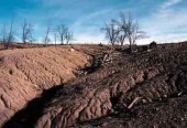 Уменьшение эрозии почвы – забота о природе