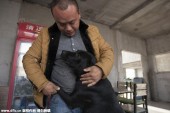 Спасти китайскую собаку