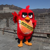 «Сердитые птицы» борются за защиту окружающей среды в Пекине