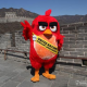 «Сердитые птицы» борются за защиту окружающей среды в Пекине