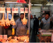 Гонконг опасается смертельного вируса птичьего гриппа H7N9