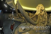 Крупнейший музей в провинции Хэйлунцзян принимает посетителей бесплатно