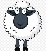 Китайские предсказатели говорят, что Год овцы не будет слишком уж «бэээ…»