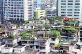 Китайская столица увеличивает количество зеленых зон