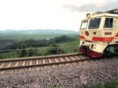 Cтроительство железной дороги в Китае поручили повару