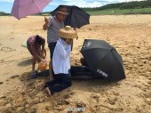 Жители острова Хайнань спасли дельфина, выброшенного на берег