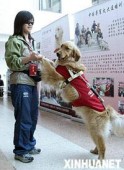 Пекин будет заботиться о слепых