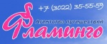 Фламинго - Чита