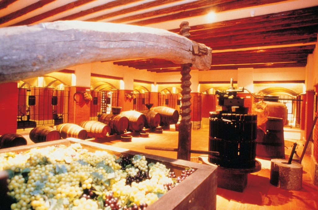 Музей вина, Макао
