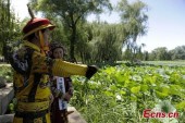 Пекин приглашает на фестиваль лотоса