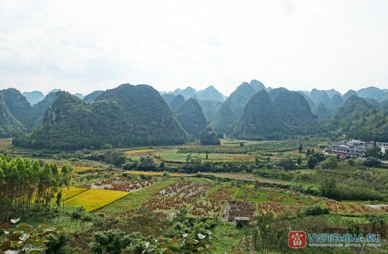 Каменный лес, а точнее сказочная долина Xingyi National Park – это ещё и девять национальных деревень.