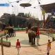 В Китае состоялось открытие спортивных игр для животных