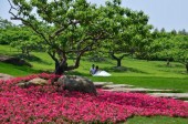 Ботанический сад Чэнду 成都植物园