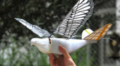В Китае начали делать дроны, похожие на птиц