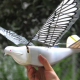 В Китае начали делать дроны, похожие на птиц