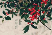 По традиционному китайскому календарю в Поднебесную сегодня пришла осень