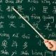 Все больше детей в Ирландии учат китайский язык 