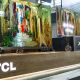 Китайский бренд электроники TCL откроет фирменные магазины в России
