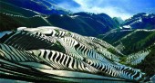 Китайские рисовые террасы стали всемирным наследием