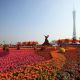 В Гуанчжоу создадут сад мирового класса