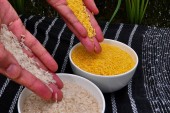 Китай засеивает солончаки рисом