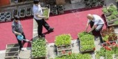 Огород на городской крыше – новинка современного Китая 
