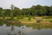 Китайский ботанический сад лекарственных растений занесен в Книгу рекордов Гиннесса