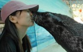 Шэньчжэньский зоопарк-сафари «Дикий мир»