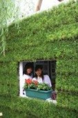 Пекин озеленяет крыши в борьбе за чистый воздух