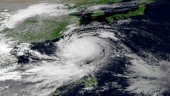 Тринадцать человек погибли в Китае из-за тайфуна «Матмо»