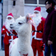 Боязнь западной культуры в Китае приводит к запрету на рождественские праздники