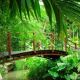 На Хайнане создадут Национальный парк тропических лесов