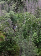 Вулканический каньон «Каменный лес» и речка «Плавающий камень»