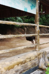 Великая стена. Участок Цзюмэнькоу. Хулудао.