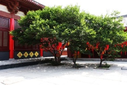 Хулудао. Остров Juhua.