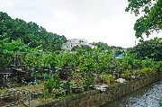 Taipa Village Macau (Coloane Village)