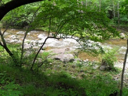 Сплав по реке Туманган.