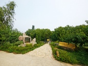 Парк Матери