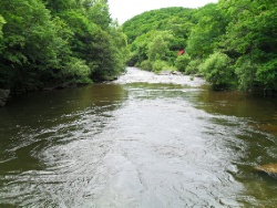 Сплав по реке Туманган.