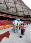 «Птичье гнездо»