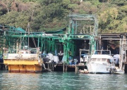 Абердин (The Aberdeen)