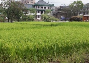 Яньцзи. Национальное поселение китайских корейцев